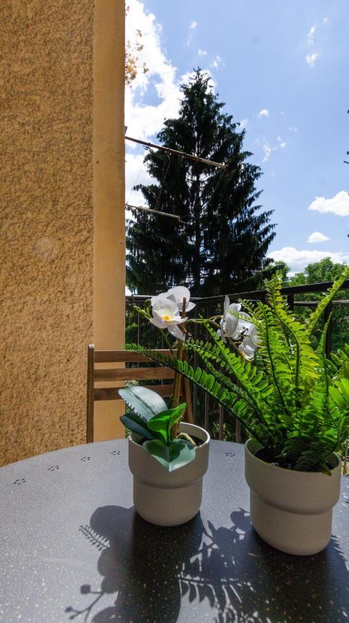 Lk43-Lodging City-Apartments, Kontaktlos Mit Self Check-In Graz Esterno foto